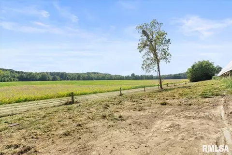 Other - 27919 Quarton Rd, Palmyra, IL 62674 photo 32 of 37