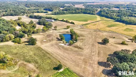 View/Area - 27919 Quarton Rd, Palmyra, IL 62674 photo 2 of 6