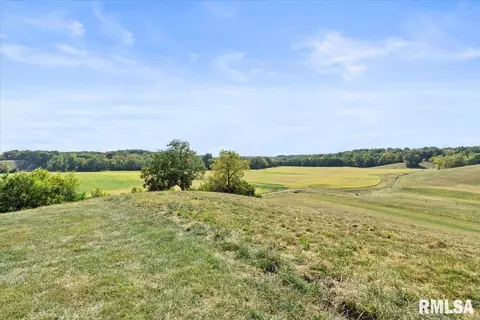 Other - 27919 Quarton Rd, Palmyra, IL 62674 photo 33 of 37
