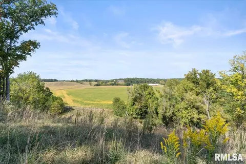 View/Area - 27919 Quarton Rd, Palmyra, IL 62674 photo 6 of 6