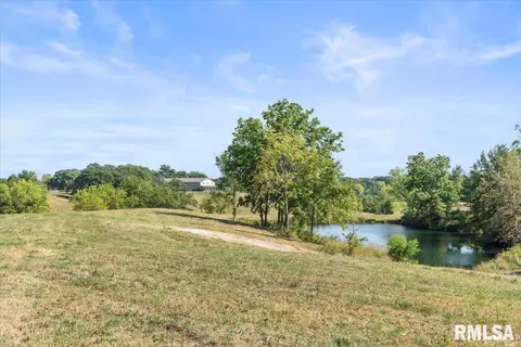 View/Area - 27919 Quarton Rd, Palmyra, IL 62674 photo 4 of 6