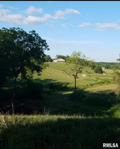 Other - 27919 Quarton Rd, Palmyra, IL 62674 photo 37 of 37