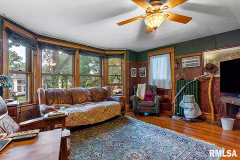1314 S Lowell Ave, Springfield, IL 62704 photo 19