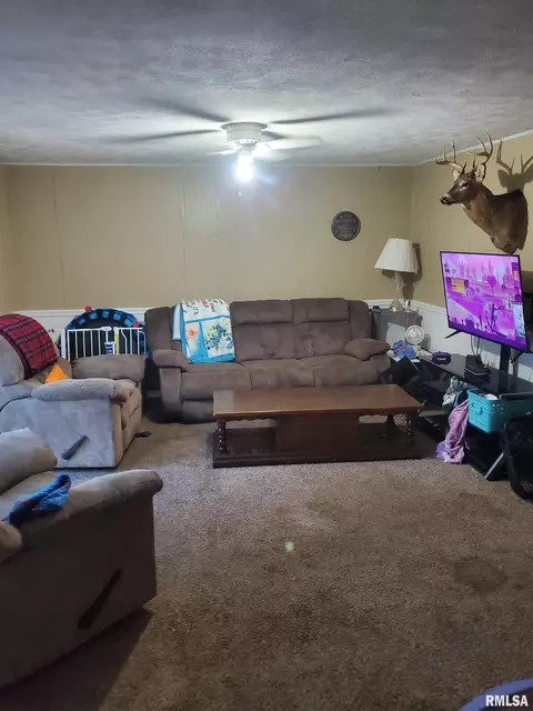 2277 E Keys St, Springfield, IL 62702 photo 13
