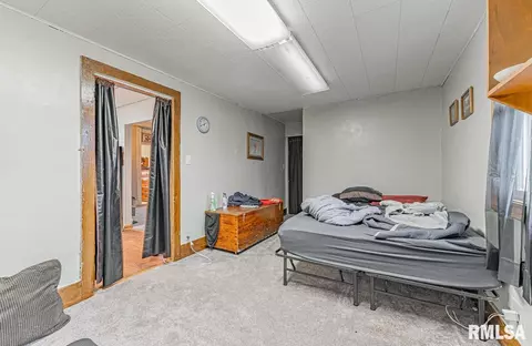 136 Locust Ave, Cornland, IL 62519 photo 21