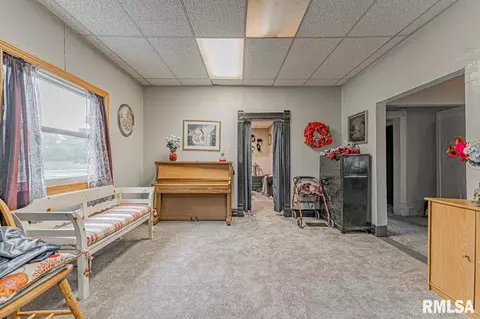 136 Locust Ave, Cornland, IL 62519 photo 8