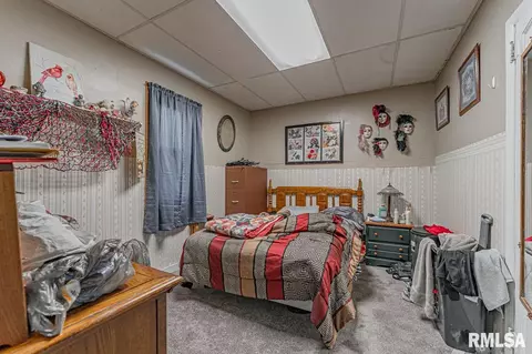136 Locust Ave, Cornland, IL 62519 photo 19