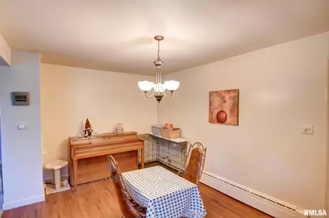 604 E 6th St, Pana, IL 62557 photo 17