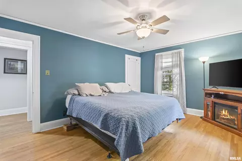 841 S Park Ave, Springfield, IL 62704 photo 25