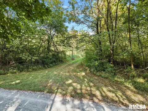Bast Road, Tallula, IL 62688 photo 11