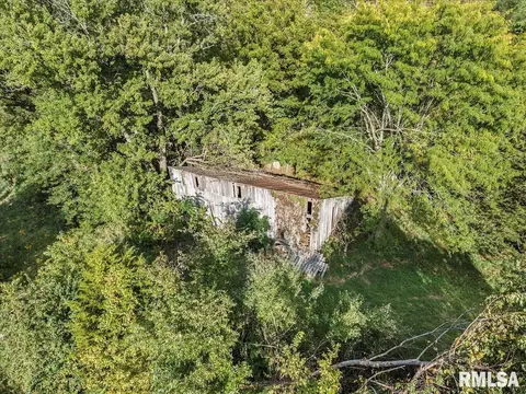 Bast Road, Tallula, IL 62688 photo 8
