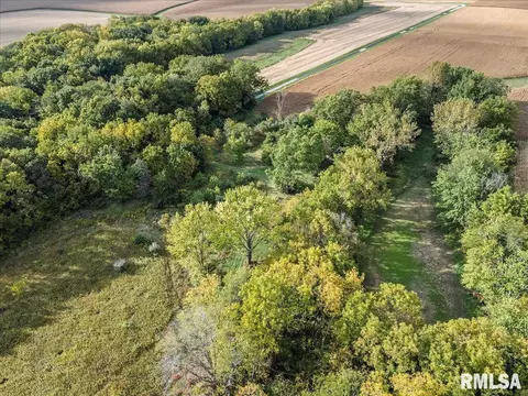 Bast Road, Tallula, IL 62688 photo 10