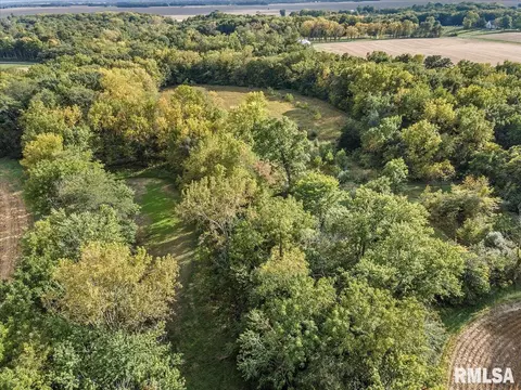 Bast Road, Tallula, IL 62688 photo 9