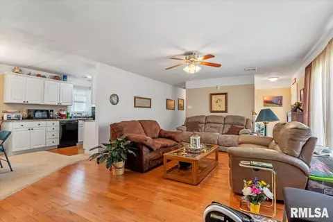 1620 N Springfield St, Virden, IL 62690 photo 5