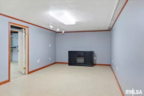 37 Coachlight Ct, Springfield, IL 62703 photo 22