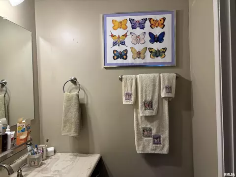 Bath - 79 Trailridge Ln, Springfield, IL 62704 photo 3 of 5