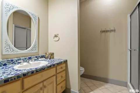 843 Coventry Pt, Springfield, IL 62702 photo 60