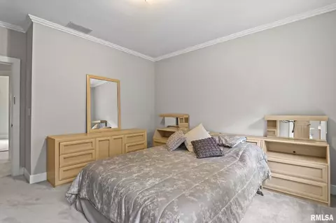 843 Coventry Pt, Springfield, IL 62702 photo 50