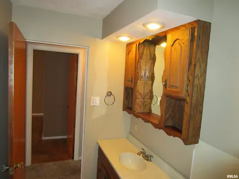 1244 Mossman Ave, Springfield, IL 62702 photo 46