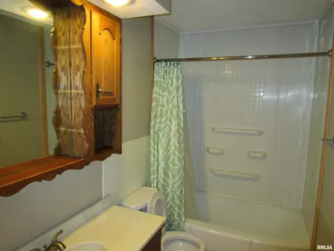 1244 Mossman Ave, Springfield, IL 62702 photo 47