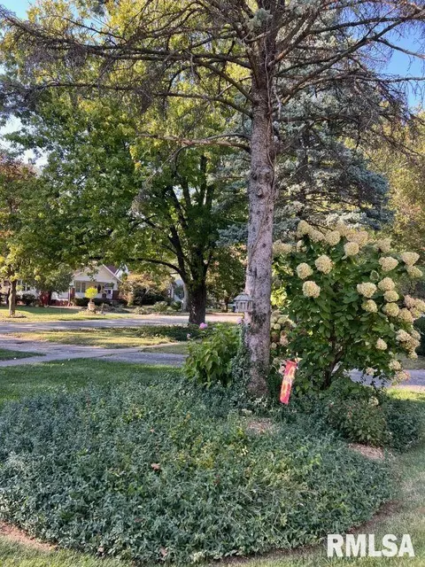 1820 S Park Ave, Springfield, IL 62704 photo 8
