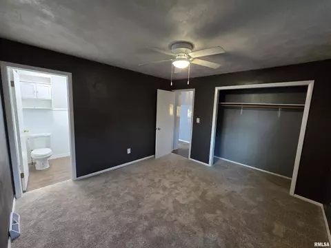 936 E Kinzie St, Riverton, IL 62561 photo 23