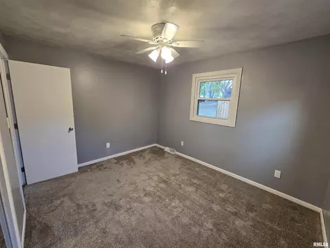 936 E Kinzie St, Riverton, IL 62561 photo 19