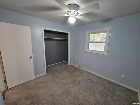 936 E Kinzie St, Riverton, IL 62561 photo 13