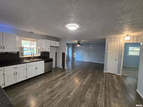 936 E Kinzie St, Riverton, IL 62561 photo 10