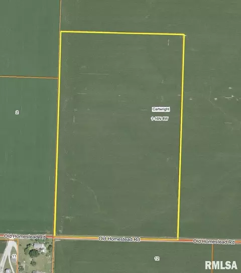 Old Homestead Road, Pleasant Plains, IL 62677