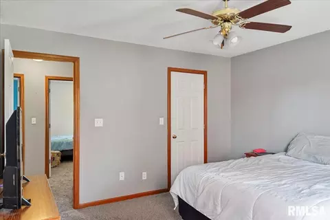 4233 Clearwater Ln, Springfield, IL 62703 photo 16