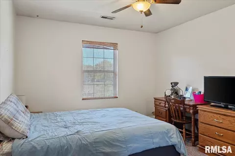 4233 Clearwater Ln, Springfield, IL 62703 photo 19