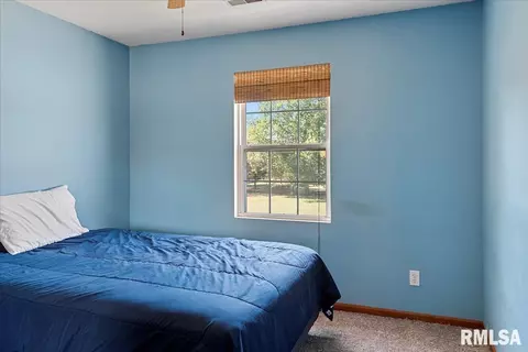 4233 Clearwater Ln, Springfield, IL 62703 photo 21
