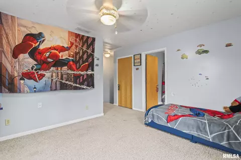 6925 N State Route 29, Springfield, IL 62707 photo 18