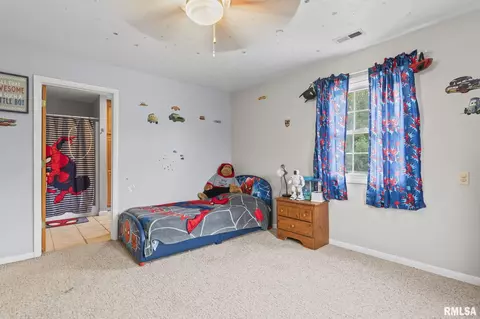 6925 N State Route 29, Springfield, IL 62707 photo 20