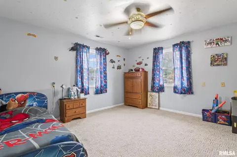 6925 N State Route 29, Springfield, IL 62707 photo 19