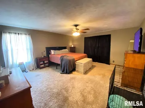 348 S Alkire St, Greenview, IL 62642 photo 35