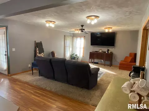348 S Alkire St, Greenview, IL 62642 photo 19