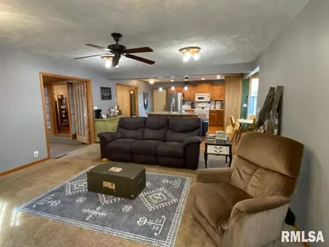 348 S Alkire St, Greenview, IL 62642 photo 15