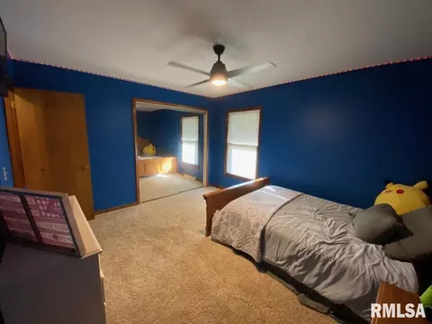 348 S Alkire St, Greenview, IL 62642 photo 47