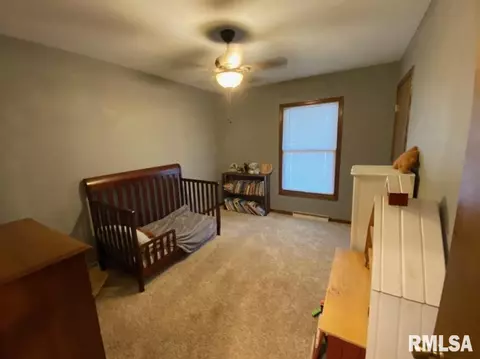 348 S Alkire St, Greenview, IL 62642 photo 55