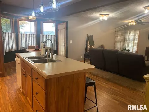 348 S Alkire St, Greenview, IL 62642 photo 13