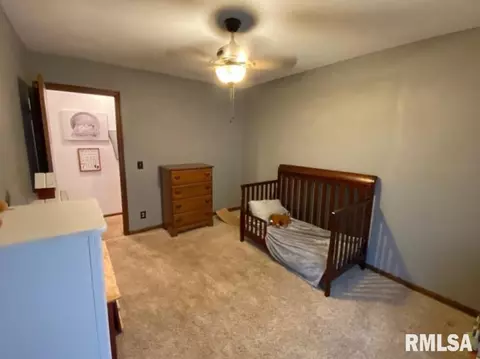 348 S Alkire St, Greenview, IL 62642 photo 34