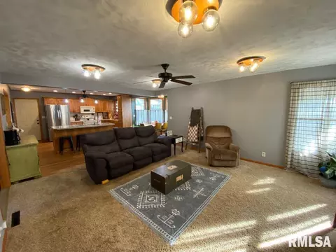 348 S Alkire St, Greenview, IL 62642 photo 17