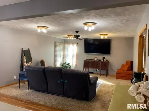 348 S Alkire St, Greenview, IL 62642 photo 16