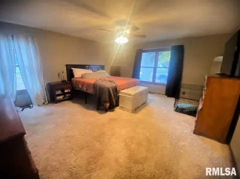 348 S Alkire St, Greenview, IL 62642 photo 33
