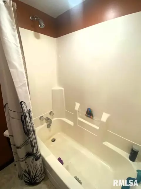 348 S Alkire St, Greenview, IL 62642 photo 51
