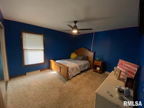 348 S Alkire St, Greenview, IL 62642 photo 46