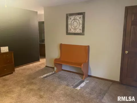 348 S Alkire St, Greenview, IL 62642 photo 28