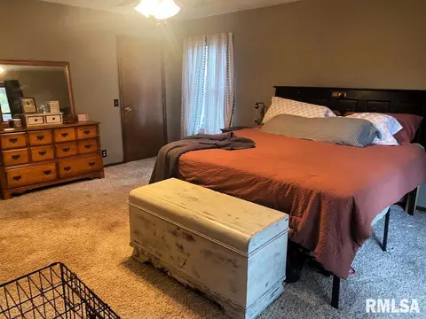 348 S Alkire St, Greenview, IL 62642 photo 32